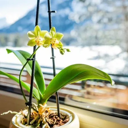 Stilecht 埃尔比格纳尔普