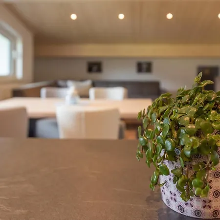 Stilecht 公寓 埃尔比格纳尔普